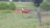 Buried.jpeg
