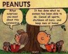 peanuts answer.jpeg
