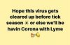 corona and lyme.jpeg