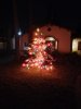 Front yard xmas tree 2020.jpg