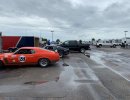 IMG_9724 (Large).JPG IMG_9724 (Large).JPG