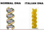 DNA.png