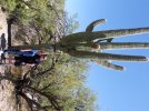 May22 TTT PicachoAZ 26 SaguaroNP SF.JPG