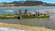 SF 05May25 6 GoldBeachOR.JPG
