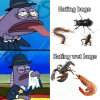 1397292425814216844remix-1753212388091.png