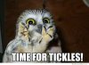 time-for-tickles.jpg