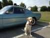 PJ and Mustang (Large).JPG