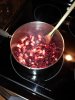 Cranberry Pear chutney (4).JPG