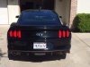 2015 back.jpg 2015 back.jpg