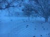Snow.JPG Snow.JPG