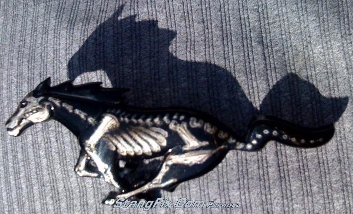 31_07_10_09_3_08_11.jpg