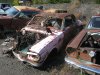 junk yard 12.jpg