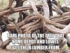 Lumber.jpeg Lumber.jpeg