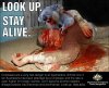 Government_Drop_Bear_Warning (2018_05_12 20_28_23 UTC).jpg Government_Drop_Bear_Warning (2018_05_12 20_28_23 UTC).jpg