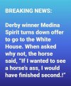 horse.jpg