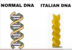 DNA.png DNA.png