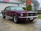 Mustangtoday.jpg