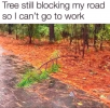 1677172692195.png 1677172692195.png