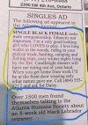 FB_IMG_1763756935993.jpeg