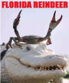 1765095743108.png