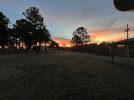 IMG_4047.jpeg