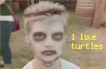 i-like-turtles.jpg i-like-turtles.jpg