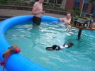 RonsPool.jpg