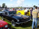 DSC00531.jpg
