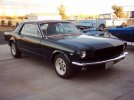 stang4-1.jpg stang4-1.jpg