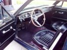 stang7.jpg stang7.jpg
