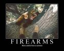 guns2.jpg