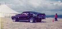 lance20mustang.jpg