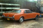 mustang_july730001.jpg
