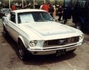 eastbourne_june__81_010.jpg