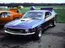 6920Mustang.jpg