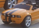 canonmustang4.jpg