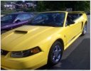 yellow.jpg