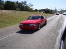 DSC00702.jpg