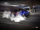 Mustang2.jpg