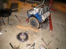 IMG_6239.jpg IMG_6239.jpg
