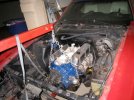 IMG_6249.jpg IMG_6249.jpg