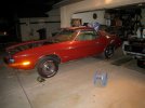 IMG_6317.jpg IMG_6317.jpg