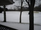 backyard003.jpg backyard003.jpg