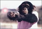 shootingmonkey.jpg