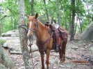 UwharrierideMay10007.jpg