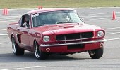 P1010061b.jpg