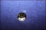 medallion.jpg