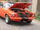 IMG_9318.jpg IMG_9318.jpg
