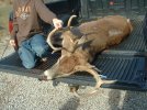 2010deer1585.jpg
