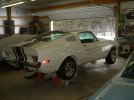 misccarpics019.jpg misccarpics019.jpg